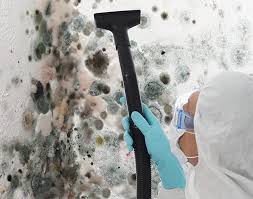 Best Mold Remediation for Healthcare Facilities  in Carthage, TN